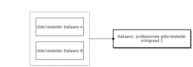 Italiaans: professionele gids/reisleider richtgraad 3 diagram image