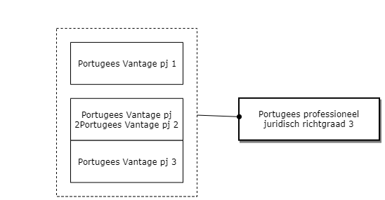 Portugees professioneel juridisch richtgraad 3 diagram image