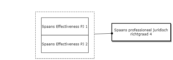 Spaans professioneel juridisch richtgraad 4 diagram image