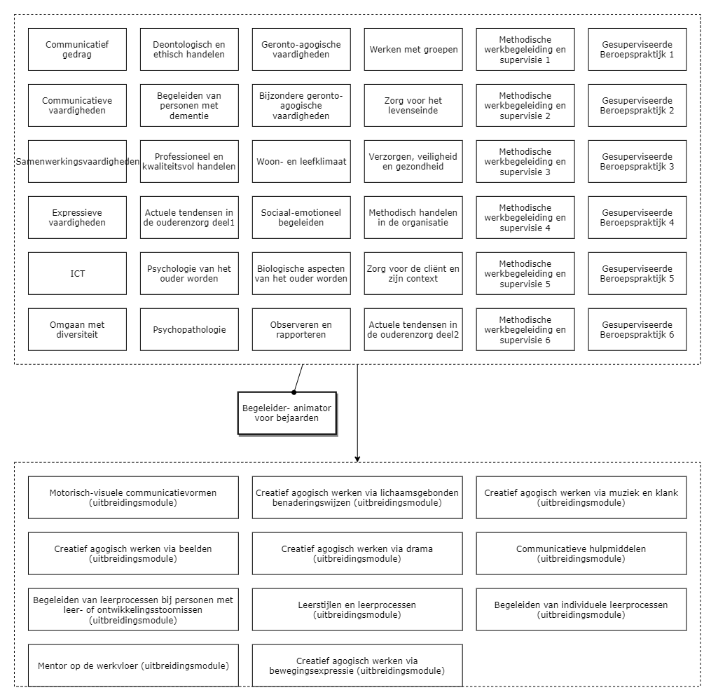 Begeleider- animator voor bejaarden diagram image